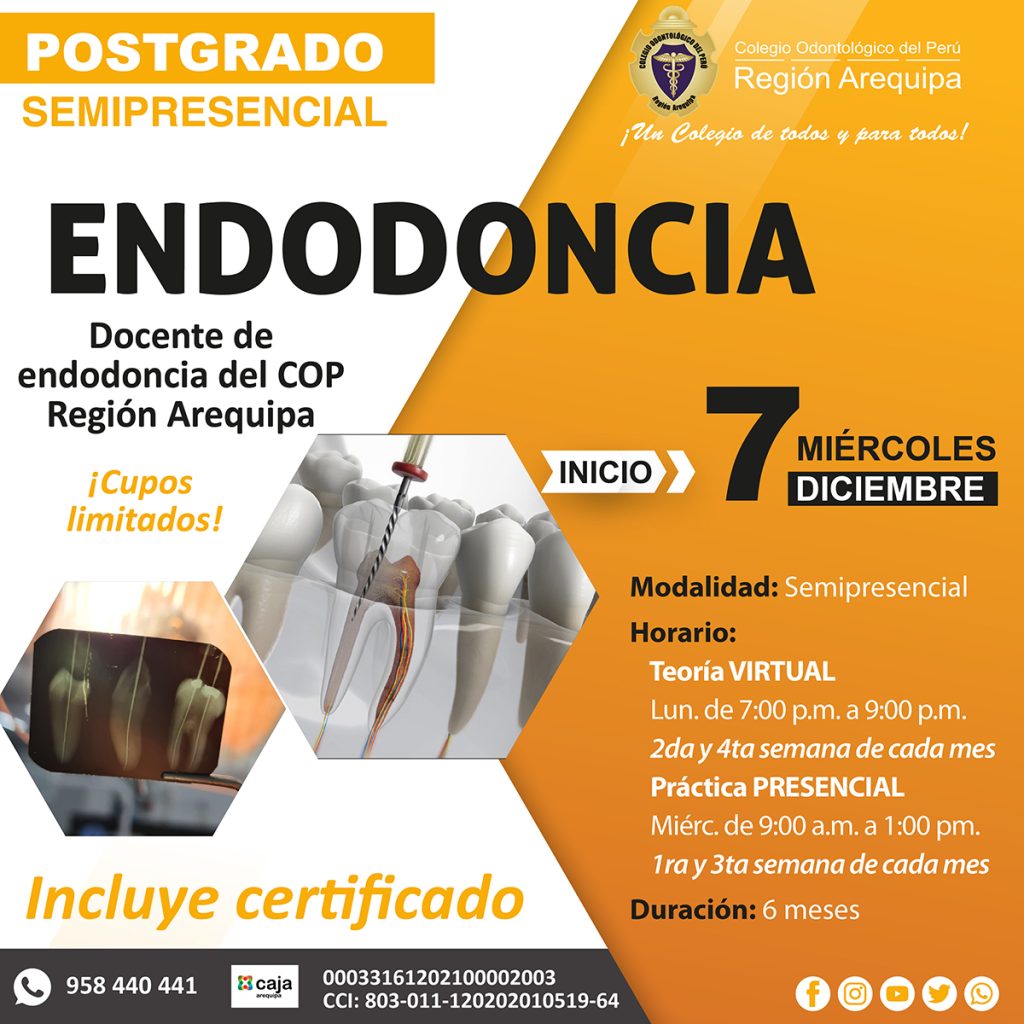 Endodoncia